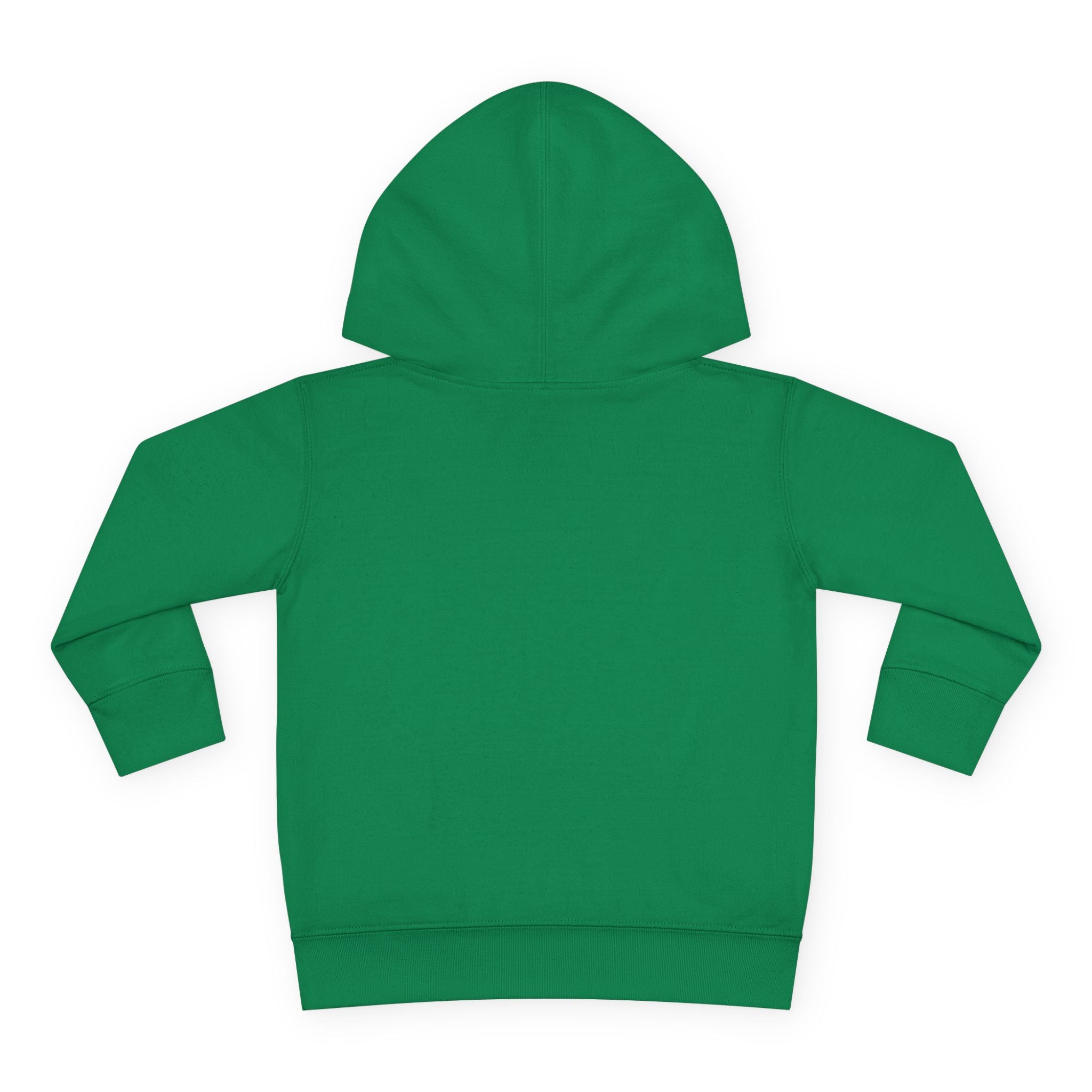 Toddler Hoodie — "Listen to the Story Bear" Campfire Design