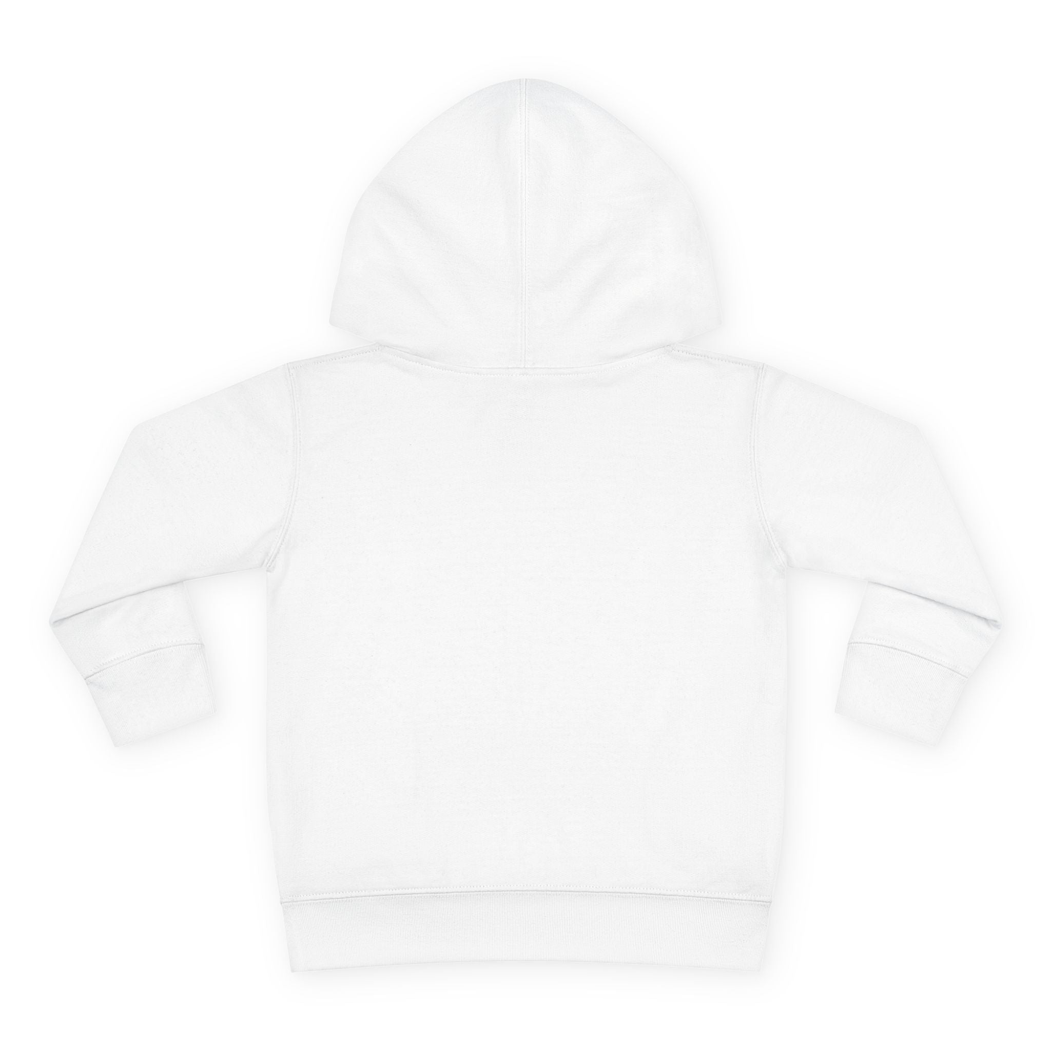 Toddler Hoodie — "Listen to the Story Bear" Campfire Design